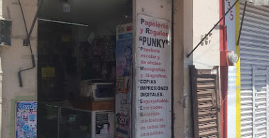 PAPELERIA PUNKY