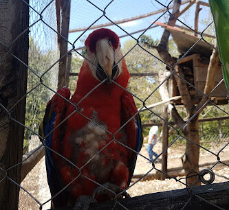 Zoologico de Trinitaria