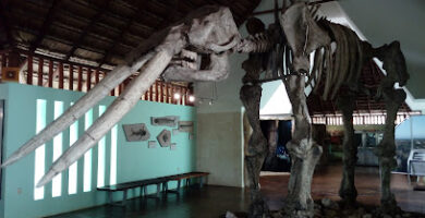 Museo de la Naturaleza y Arqueología de Calakmul