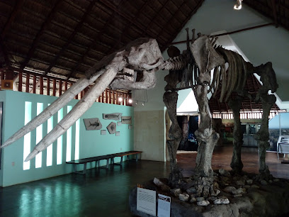 Museo de la Naturaleza y Arqueología de Calakmul