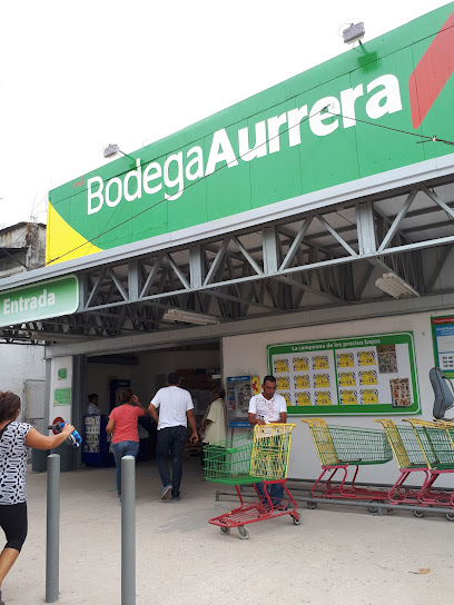 Mi Bodega Aurrera Central Sur