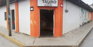 PAPELERIA TAURO