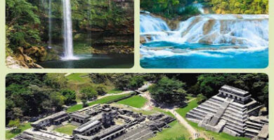 Palenque Magico. Agencia de Viajes