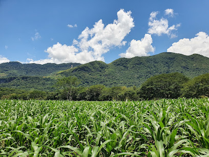 Rancho San Manuel