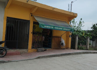 Abarrotes Papelería Ebenezer