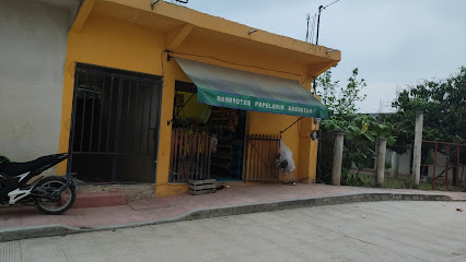 Abarrotes Papelería Ebenezer