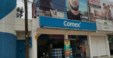 Tienda Comex Calvillo