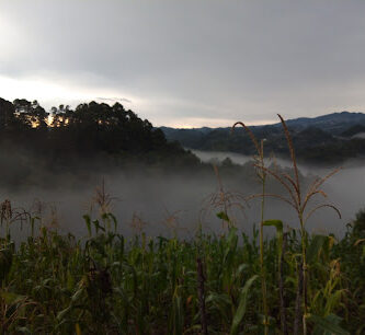 Tres Cerros