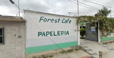 Forest Cafe Papeleria